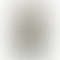 Nokia C31