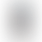 Insta360 ONE X3