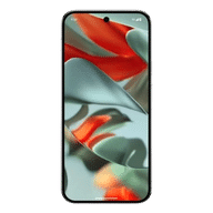 Google Pixel 9 Pro (16 GB/256 GB)