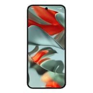 Google Pixel 9 Pro (16 GB/256 GB)