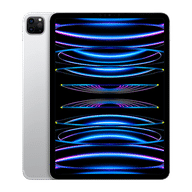 iPad Pro 11" 4th Gen (WiFi+Cellular)