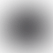 Canon EOS 1100D