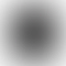 GoPro Max 360