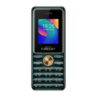 Saregama Carvaan M11