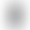 Insta360 ONE X2