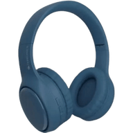 Zebronics Zeb-Paradise Plus