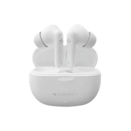 Zebronics Zeb-Beetles