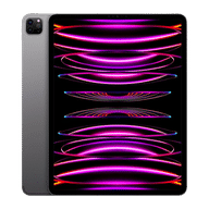 iPad Pro 12.9" 6th Gen (Wi-Fi+Cellular)