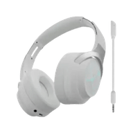 Zebronics Zeb-Envy 2