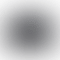 Canon EOS R10