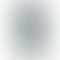 Motorola Moto G62 5G