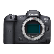 Canon EOS R5 Mirrorless