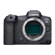 Canon EOS R5 Mirrorless