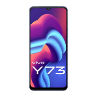 Vivo Y73