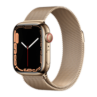 Apple Watch Series 7 41mm Stainless Steel (GPS+Cellular)