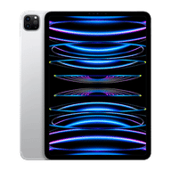 iPad Pro 11 1TB WiFi+Cellular (2022)