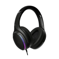 Asus ROG Fusion II 300