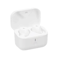 Boat Airdopes 501 ANC