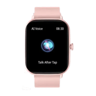 Fire-Boltt Ninja Call Pro Max