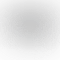 LG Window