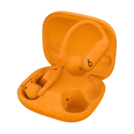 Beats Powerbeats Pro 2