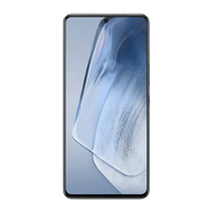 iQOO 7 5G (12 GB/256 GB)