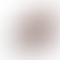 Omen Series