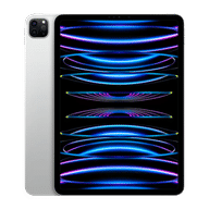 iPad Pro 11 128GB Wifi Only (2022)