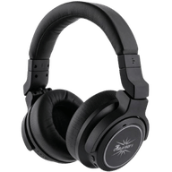 Linsoul Kiwi Ears Aventus