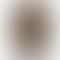 Spice M-6700