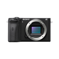 Sony Alpha 6600