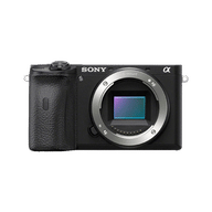 Sony Alpha 6600