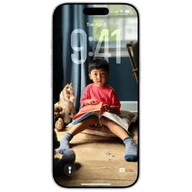 Apple iPhone 17 (8 GB/256 GB)