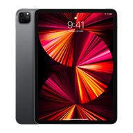 iPad Pro 11 2TB Wifi Only (2021)