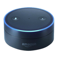 Amazon Echo Dot