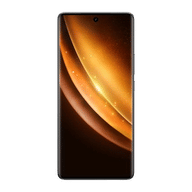 Vivo X100