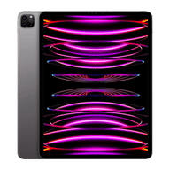 iPad Pro 12.9" 6th Gen (Wi-Fi Only)
