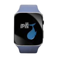 Ubon Fitguru 6.0 SW-81