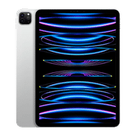iPad Pro 11" 4th Gen (WiFi Only)