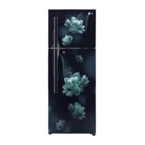 LG GL-S302RBCX 284 Ltr Double Door