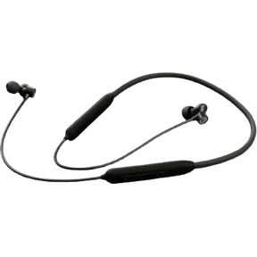 Just Corseca Stallion Star