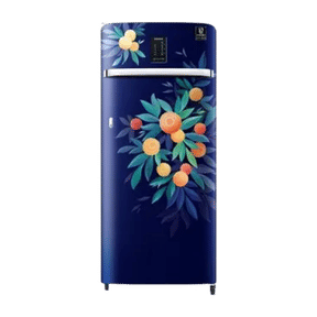 Samsung RR23C2E35NK 215 Ltr Single Door