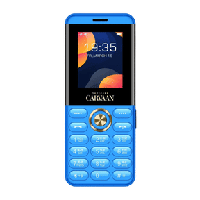 Saregama Carvaan Don M12