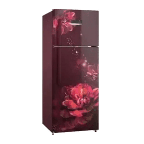 Bosch Series 6 CTC27W24EI 263 Ltr Double Door