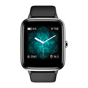 Noise Colorfit Pro 2