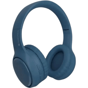 Zebronics Zeb-Paradise Plus