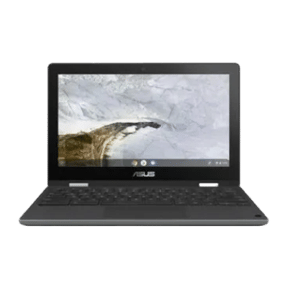 Asus Chromebook Flip C214MA-BU0452 (Celeron Dual Core/4 GB/64 GB SSD/Google Chrome)