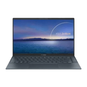 Asus Zenbook 14 UX425EA-BM501TS (Core i5 11th Gen/8 GB/512 GB SSD/Windows 10)