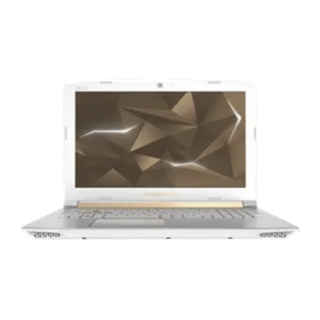 Acer Predator Helios 300 PH315-51-757A (NH.Q4HAA.001) (Core i7 8th Gen/16 GB/256 GB SSD/Windows 10/6 GB)