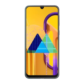 Samsung Galaxy M30s